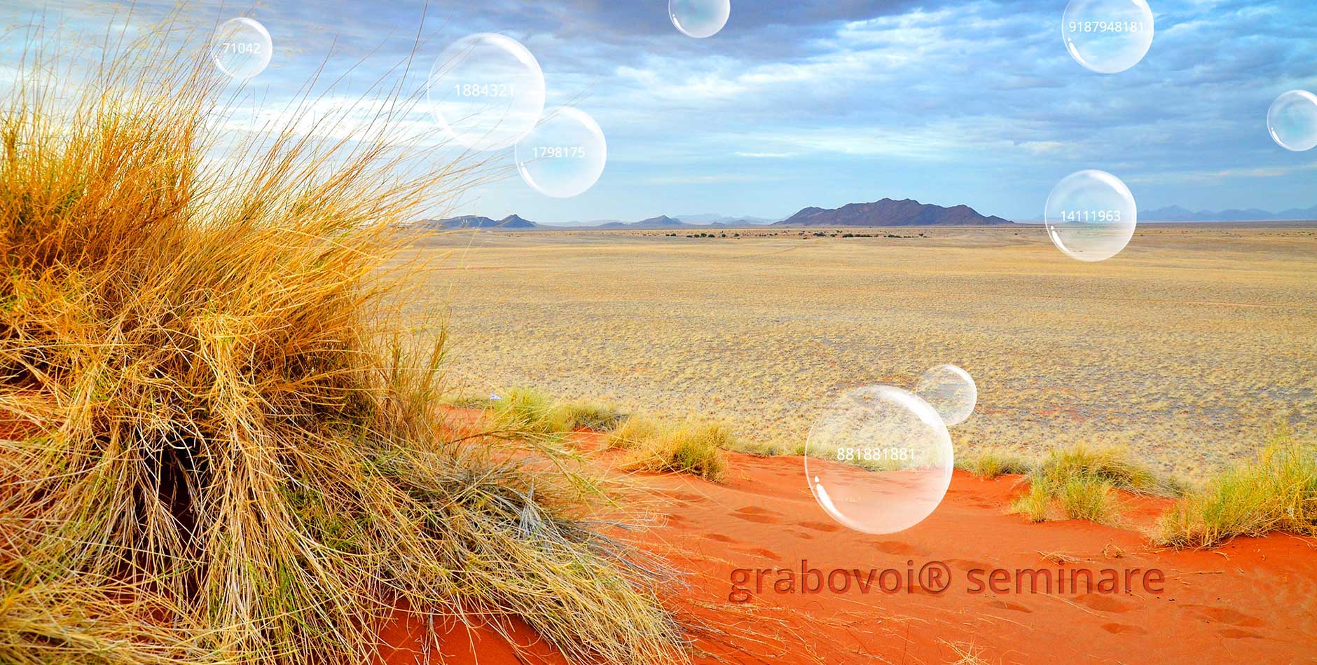 Namibia Landschafts Bild mit Blasen und Zahlen Codes - Aflynx Fotografie